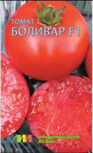 т.Боливар F1 (Мязина) Ц