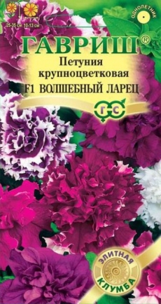 Петуния Волшебный ларец махр. 10шт. F1 Элитная клумба (Гавриш) Ц