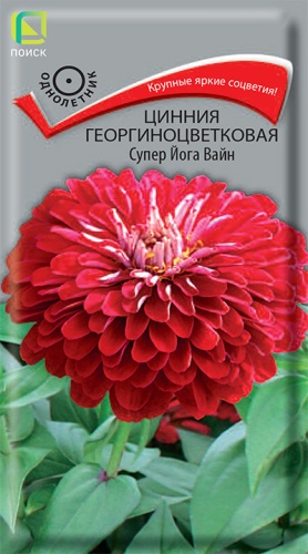 Цинния георгиноцветковая Супер Йога Вайн (Поиск) Ц