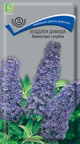 Буддлея Давида Фиолетово-голубая 0,01гр. (Поиск) Ц