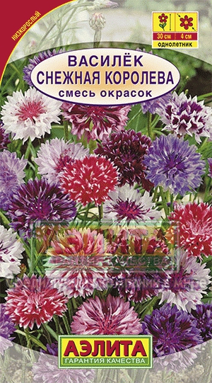 Василек Снежная королева смесь окрасок (Аэлита) Ц