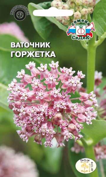 Ваточник Горжетка (вид Сирийский, лилово-розовый) (Седек) Ц