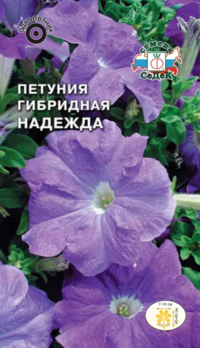 Петуния Надежда F1 крупноцветковая низкорослая св-фиолетовая (Седек) Ц