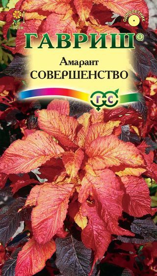 Петуния Совершенство F2 (Агроника) Ц