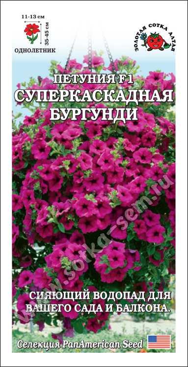 Петуния Суперкаскадная Бургунди (Золотая Сотка Алтая) Ц