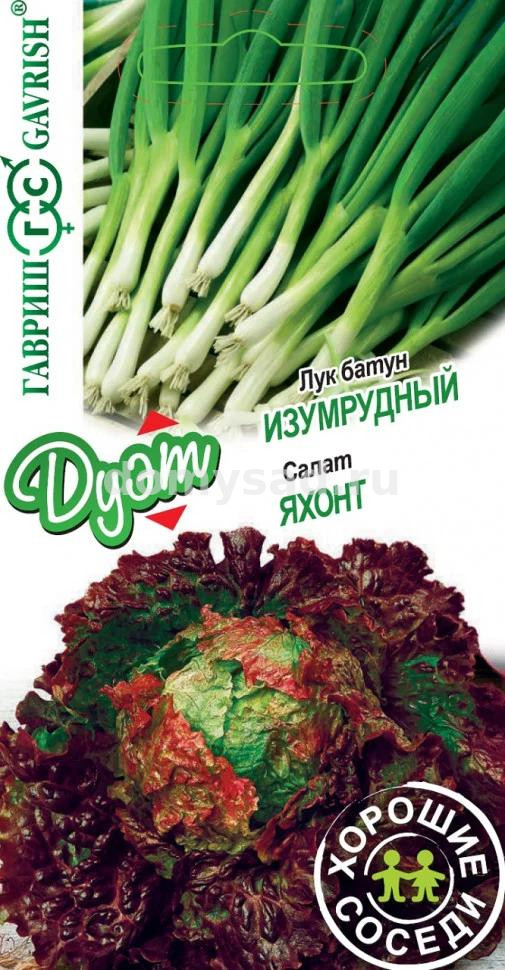 Лук батун Изумрудный+Салат Яхонт серия Дуэт (Гавриш) Ц