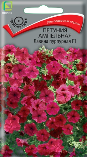 Петуния Лавина пурпурная F1 ампел. (Поиск) Ц