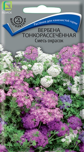 Вербена Тонкорассеченная Смесь окрасок (Поиск) Ц