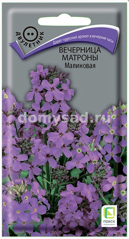 Вечерница Матроны Малиновая 0,3гр. (Поиск) Ц