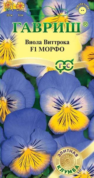 Виола Виттрока Морфо F1 (Гавриш) Ц