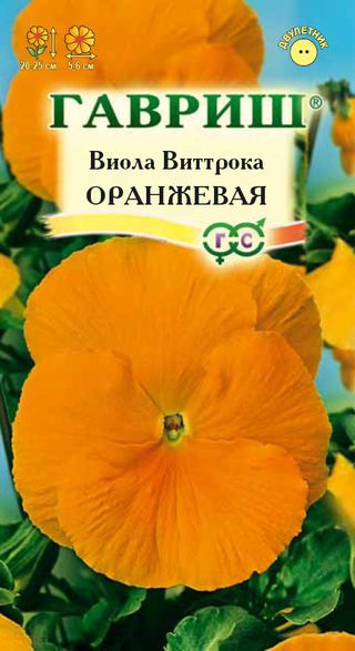 Виола Виттрока Оранжевая (Гавриш) Ц