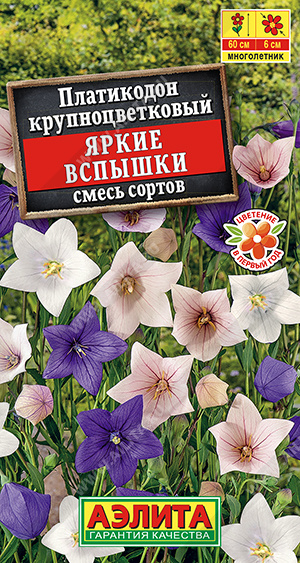 Платикодон Яркие вспышки, смесь сортов (Аэлита) Ц