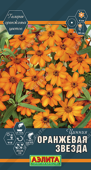 Цинния Оранжевая звезда (Аэлита) Ц