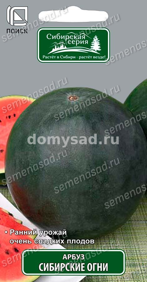 Арбуз Сибирские огни (сиб.серия) (Поиск) Ц