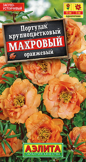 Портулак Махровый оранжевый (Аэлита) Ц