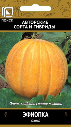 Дыня Эфиопка (Поиск) Ц