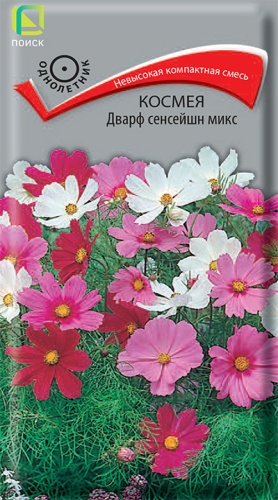 Космея Дварф сенсейшн микс (Поиск) Ц