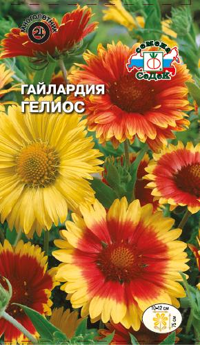 Гайлардия Гелиос (вид остистая, смесь цветков) (Седек) Ц