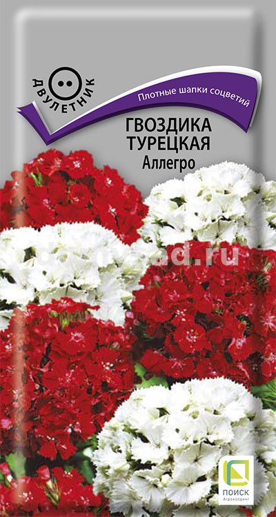 Гвоздика Турецкая Аллегро (бородатая) 0,3гр. (Поиск) Ц