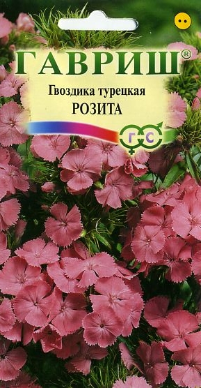 Гвоздика турецкая Розита (Гавриш) Ц