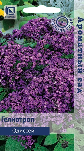 Гелиотроп Одиссей (древовидный) 0,03гр. (Поиск) Ц