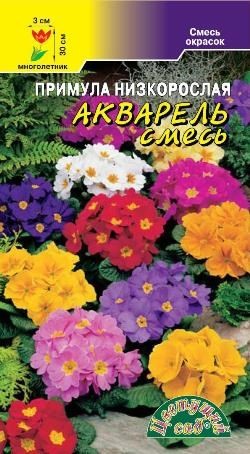 Примула Акварель (Цветущий Сад) Ц