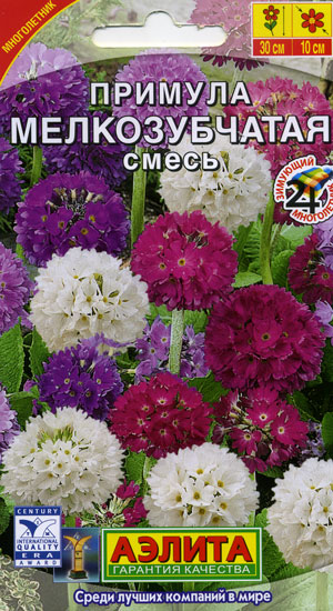 Примула мелкозубчатая смесь (Аэлита) Ц