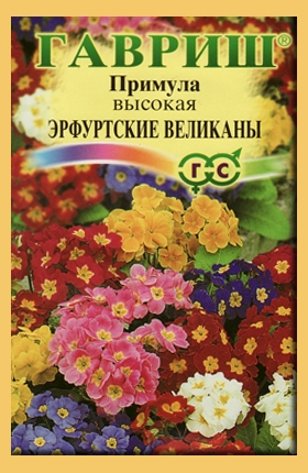 Примула Эрфуртские великаны высокая 20шт. (Гавриш) Ц