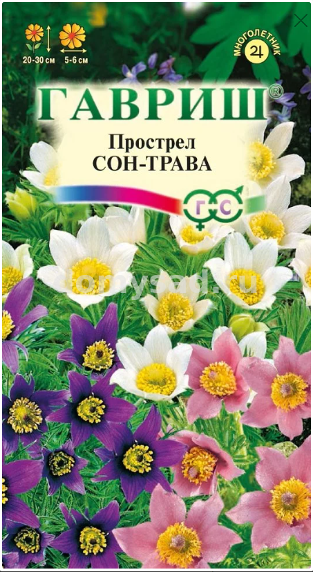 Прострел Сон-трава смесь (Гавриш ) Ц