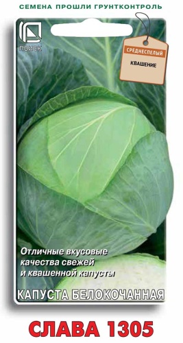 кап.Слава 1305 б/к (Поиск) Ц