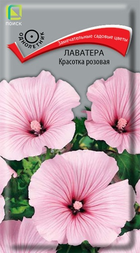 Лаватера Красотка розовая (Поиск) Ц