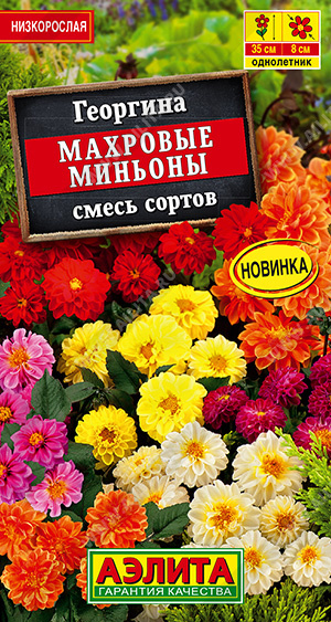 Георгина Махровые миньоны,смесь сортов (Аэлита) Ц