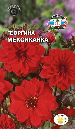 Георгина Мексиканка ярко-красная (Седек) Ц