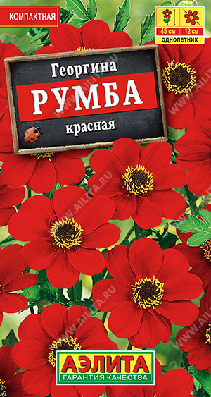 Георгина Румба красная (Аэлита) Ц