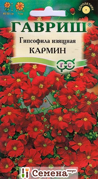 Гипсофила изящная Кармин (Гавриш) Ц