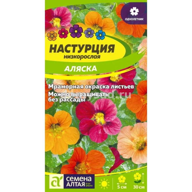 Настурция низкорослая Аляска (Семена Алтая) Ц