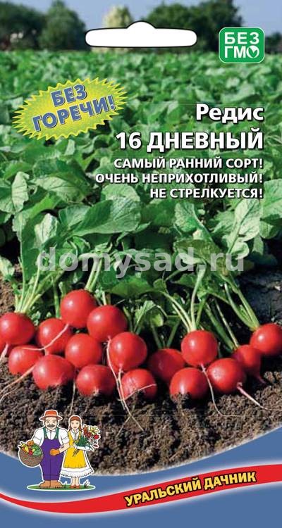 ред.16 дневный (самый ранний,округлый,крупный,не стрелкуется) (Уральский Дачник) Ц