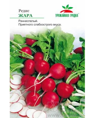 ред.Жара Урожайная грядка (Седек) Ц