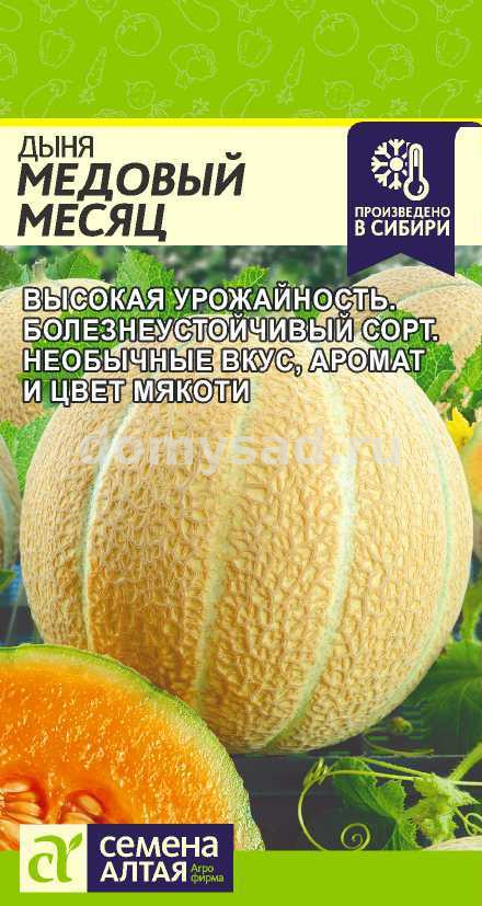 Дыня Медовый Месяц (Семена Алтая) Ц