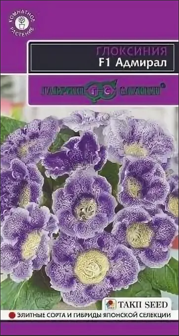 Глоксиния Адмирал 5шт. Н19 (Гавриш) Ц