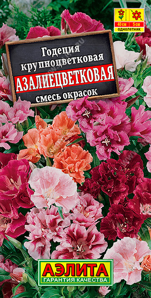 Годеция Азалиецветковая МАХРОВАЯ смесь (Аэлита) Ц