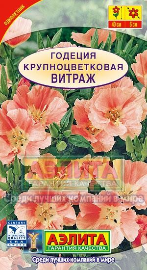 Годеция Витраж крупноцветковая (Аэлита) Ц