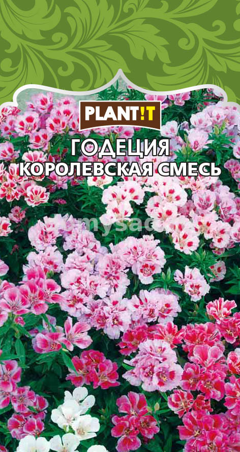 Годеция Королевская Смесь крупноцветковая (PLANT!T) Ц