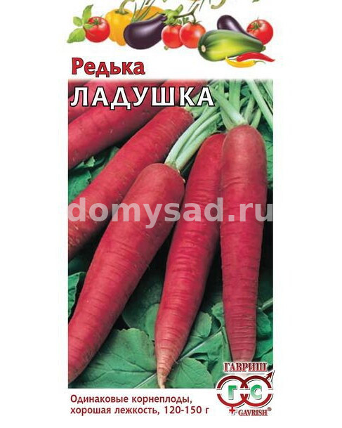 Редька Ладушка (Гавриш) Ц