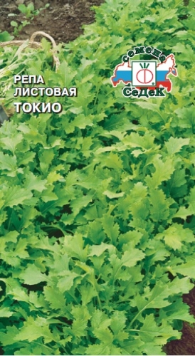 Репа Токио листовая (Седек) Ц