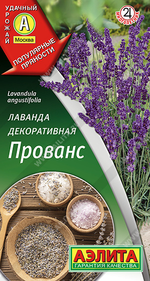 Лаванда Прованс декоративная (Аэлита) Ц