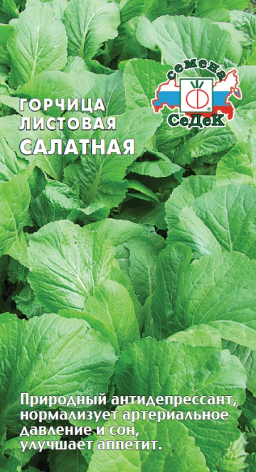 Горчица салатная листовая Закусочная (Седек) Ц