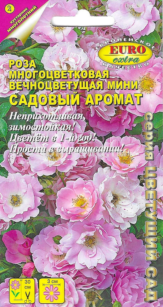 Роза Садовый Аромат многоцветковая (Аэлита) Ц