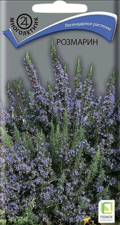 Розмарин лекарственный 0,1гр. (Поиск) Ц
