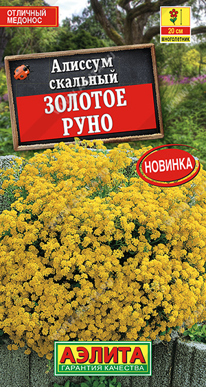 Алиссум скальный Золотое руно (Аэлита) Ц
